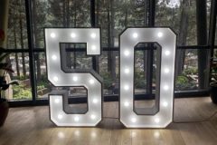 kiralik.isikli.50.rakami-scaled