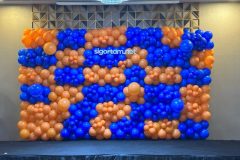 be40a14b-57e6-40d6-9c58-44298bddf3ec-scaled