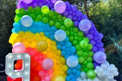 gokkusagi.balon_.susleme-1-scaled