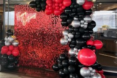 1_kirmizipullu.pano_.balon_.susleme