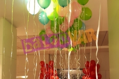 UÇAN BALON SİPARİŞİ