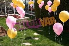 UÇAN BALON SİPARİŞİ