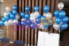 UÇAN BALON SİPARİŞİ