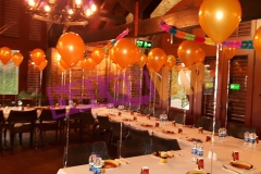 UÇAN BALON SİPARİŞİ