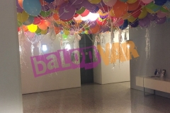 UÇAN BALON SİPARİŞİ