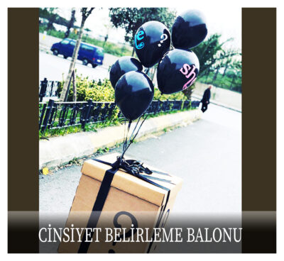 Cinsiyet Belirleme Balonu